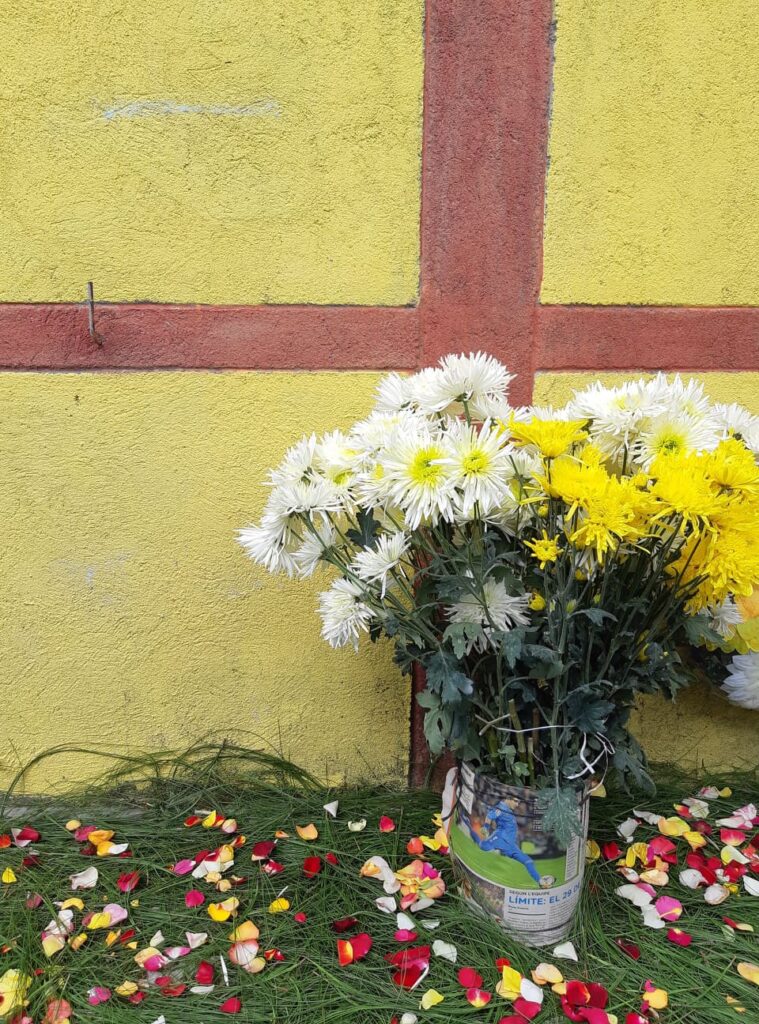 Comment Appelle-t-on les jeunes d'aujourd'hui ?