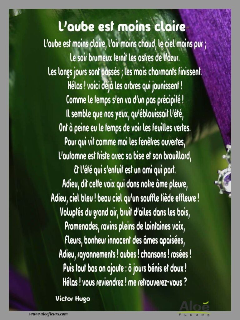 Comment Victor Hugo Exprime Sa Souffrance Quotes Tn Citations Proverbes Belles Phrases