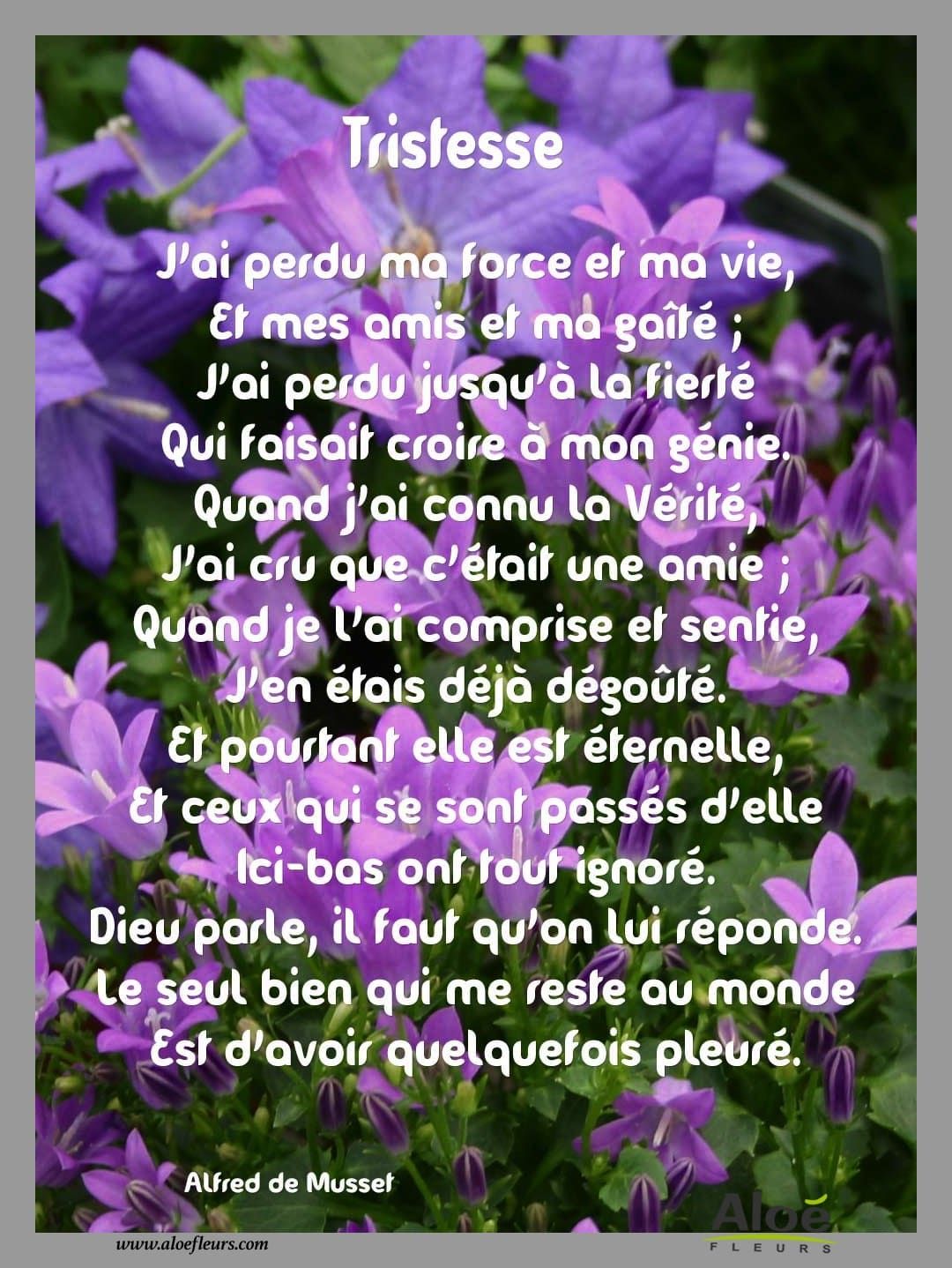 Comment Commencer Un Message De Condoleances Quotes Tn Citations Proverbes Belles Phrases