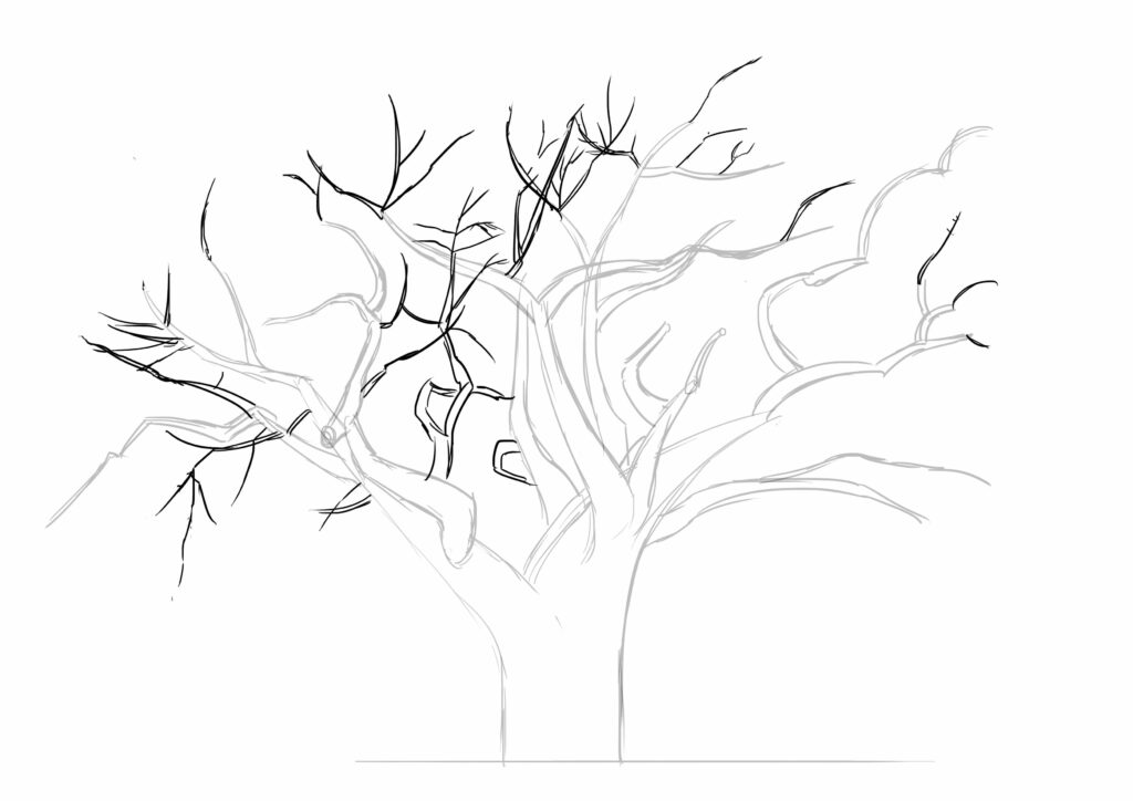 Comment dessiner un arbre familial ?
