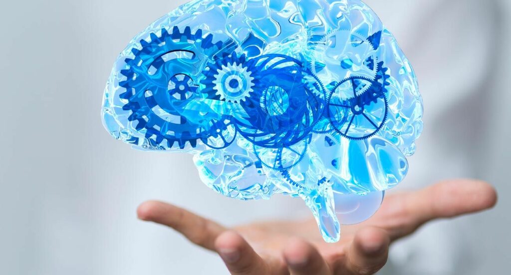 Comment détoxifier son cerveau ?