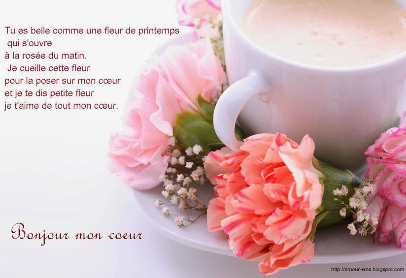 Comment Dire Bonjour Par Message Quotes Tn Citations Proverbes Belles Phrases