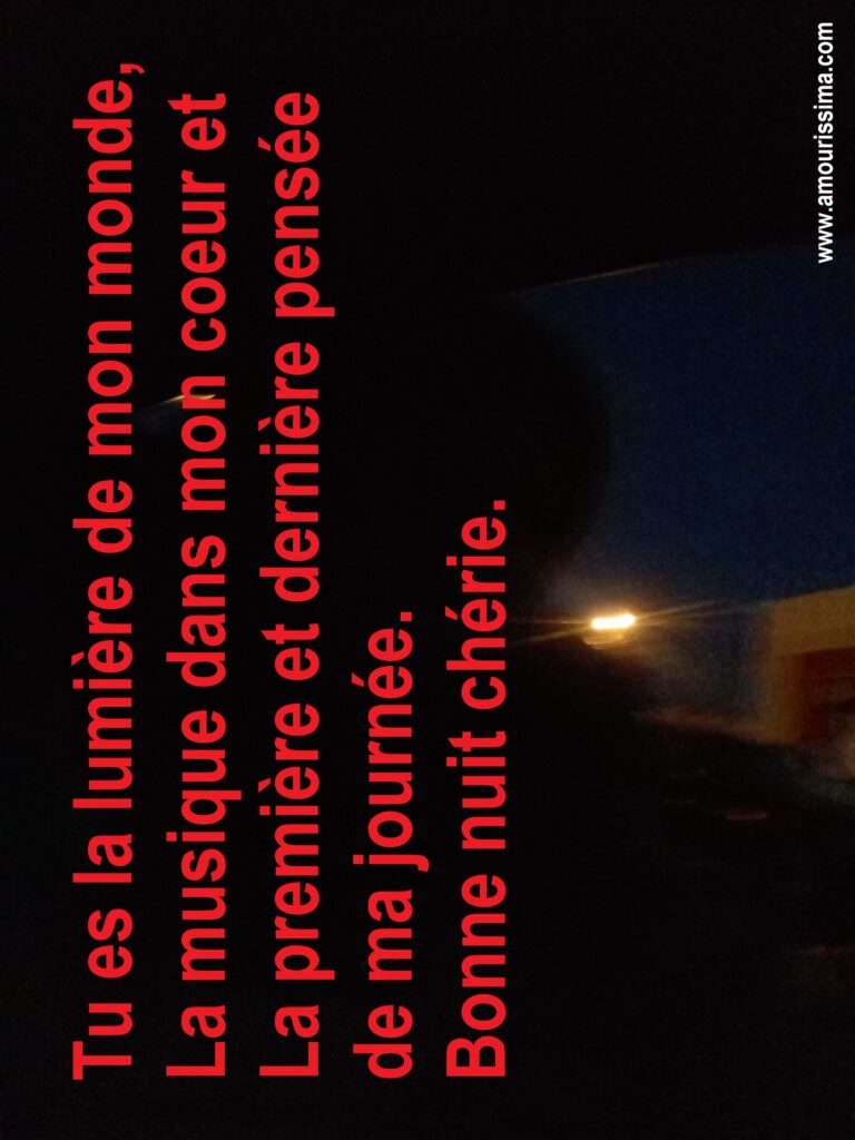 Comment dire bonne nuit à son chiot ?