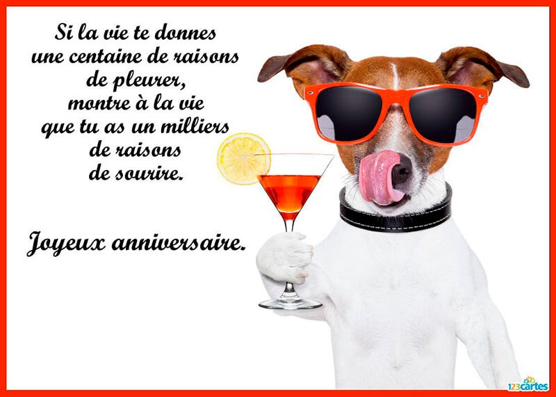 Comment Dire Joyeux Anniversaire Avec Humour Quotes Tn Citations Proverbes Belles Phrases