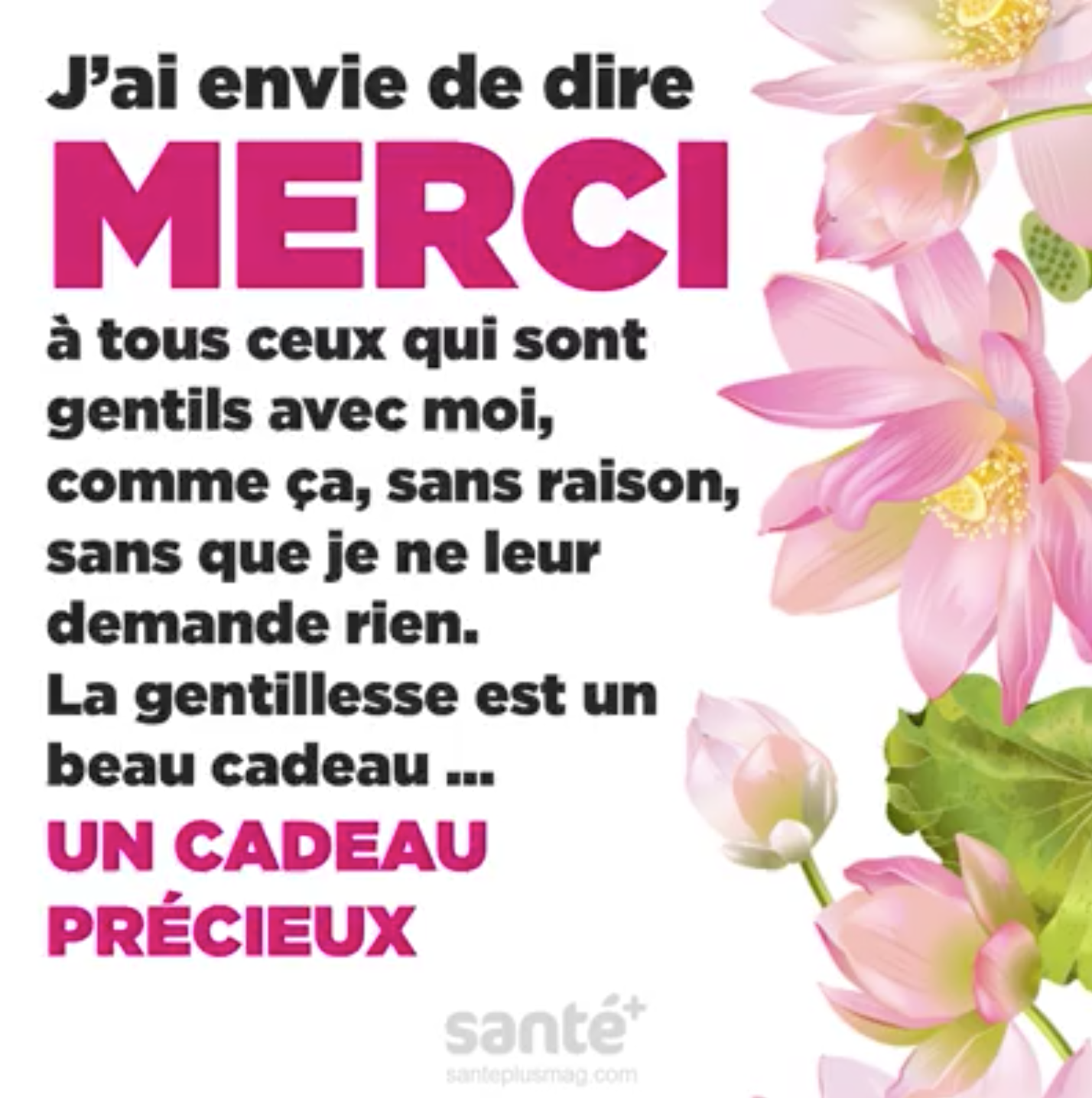 Comment Dire Merci Citation Quotes Tn Citations Proverbes Belles Phrases