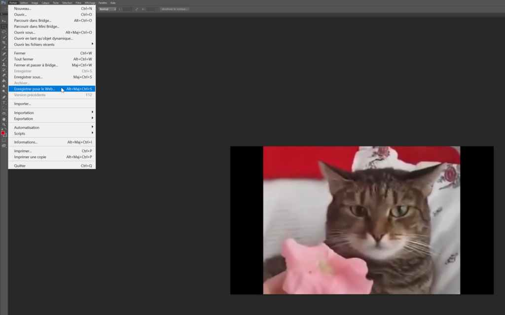 Comment enregistrer un GIF dans sa galerie ? Comment enregistrer un GIF dans sa galerie ?
