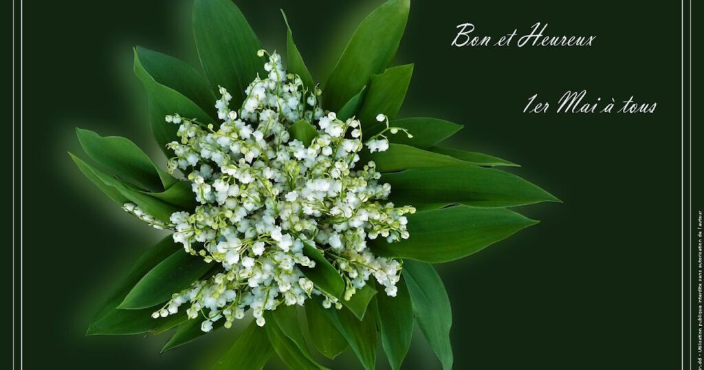 Comment envoyer un brin de muguet virtuel gratuit ? Comment envoyer un brin de muguet virtuel gratuit ?
