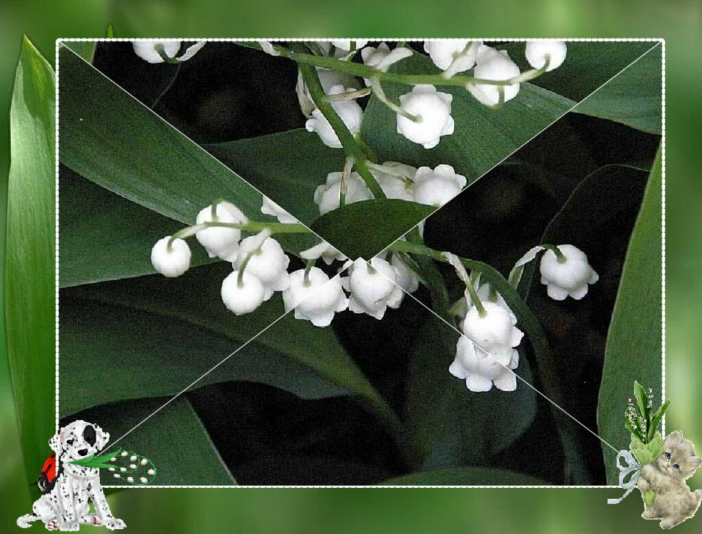 Comment envoyer un brin de muguet virtuel par SMS ?