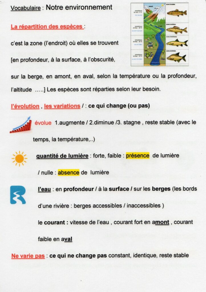 Comment exprimer le courage ?