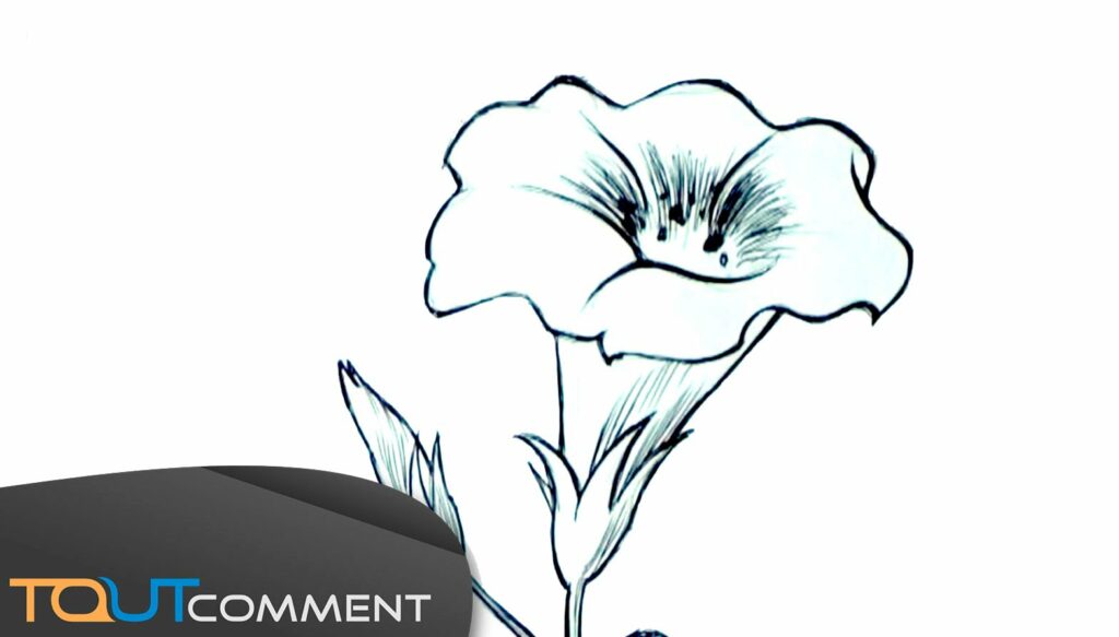 Comment faire des dessins fleurs ? Comment faire des dessins fleurs ?
