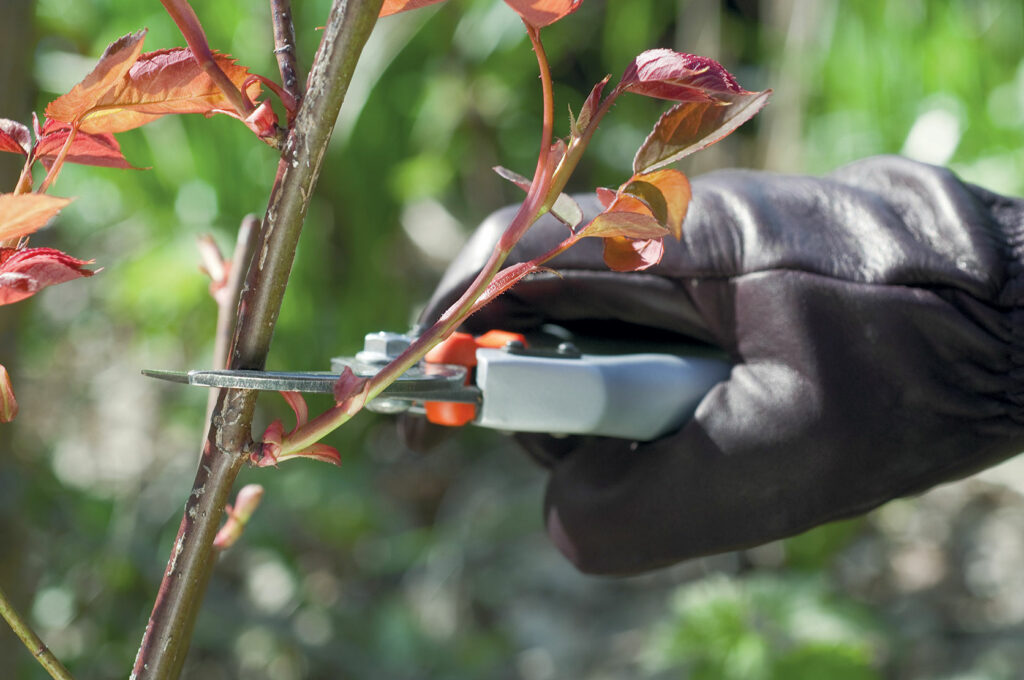 Comment faire un doua pour un mort ?