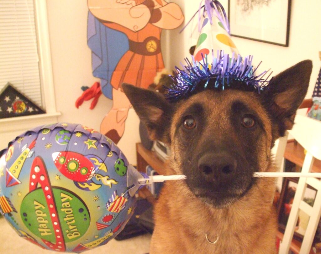 Comment fêter l'anniversaire de son chien ?