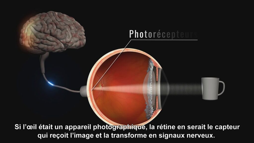 Comment fonctionne Florajet ?