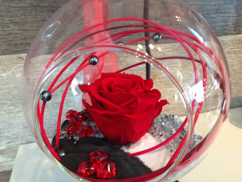 Comment garder une rose éternelle ? Comment garder une rose éternelle ?