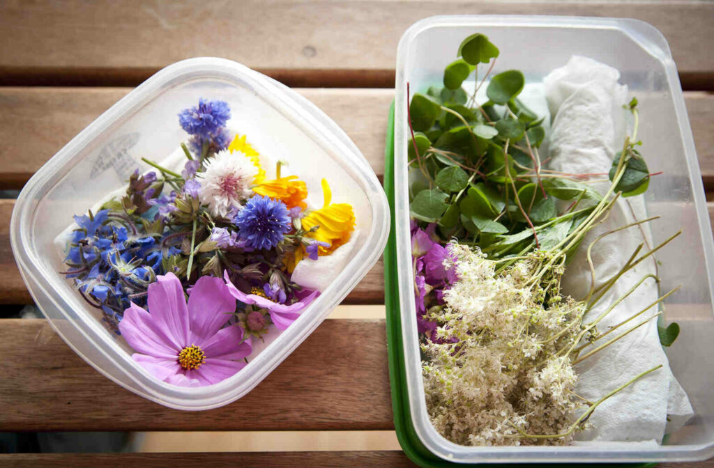 Comment on appelle celui qui vend les fleurs ?