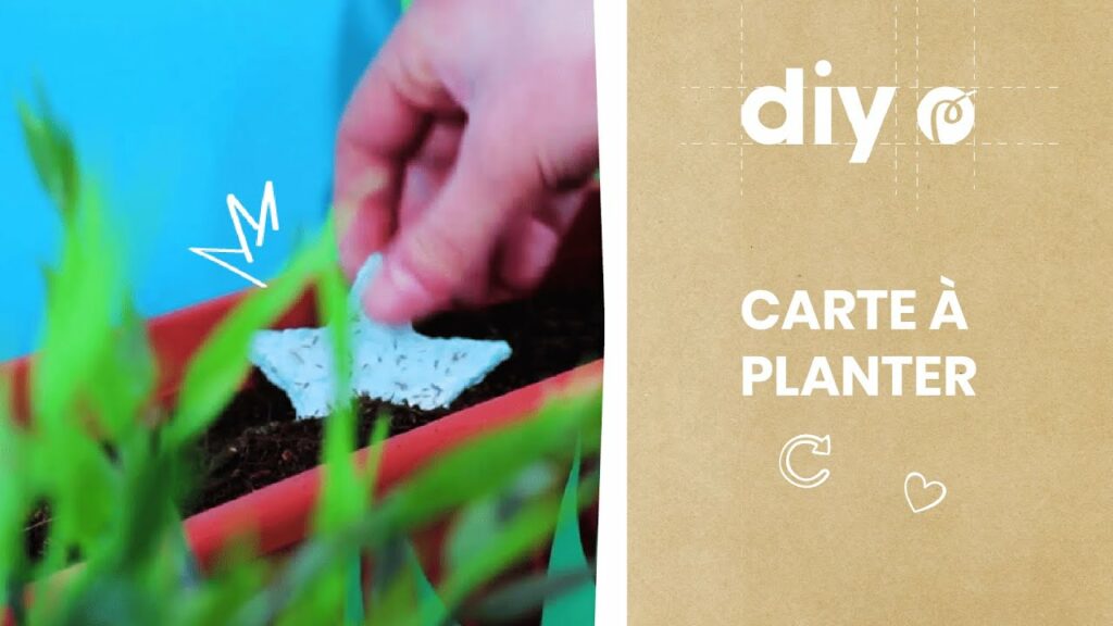 Comment planter les cartes à planter ?