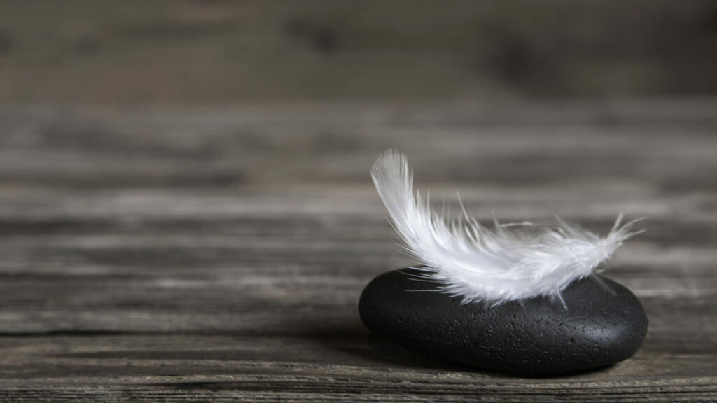 Comment présenter ses condoléances ? Comment présenter ses condoléances ?