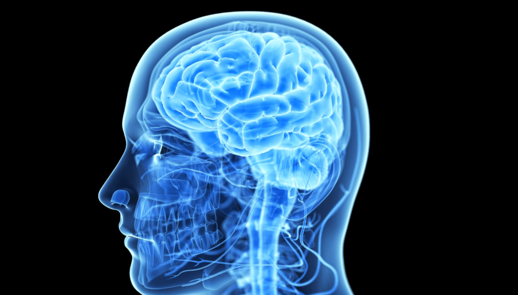 Comment reconditionner son cerveau ?