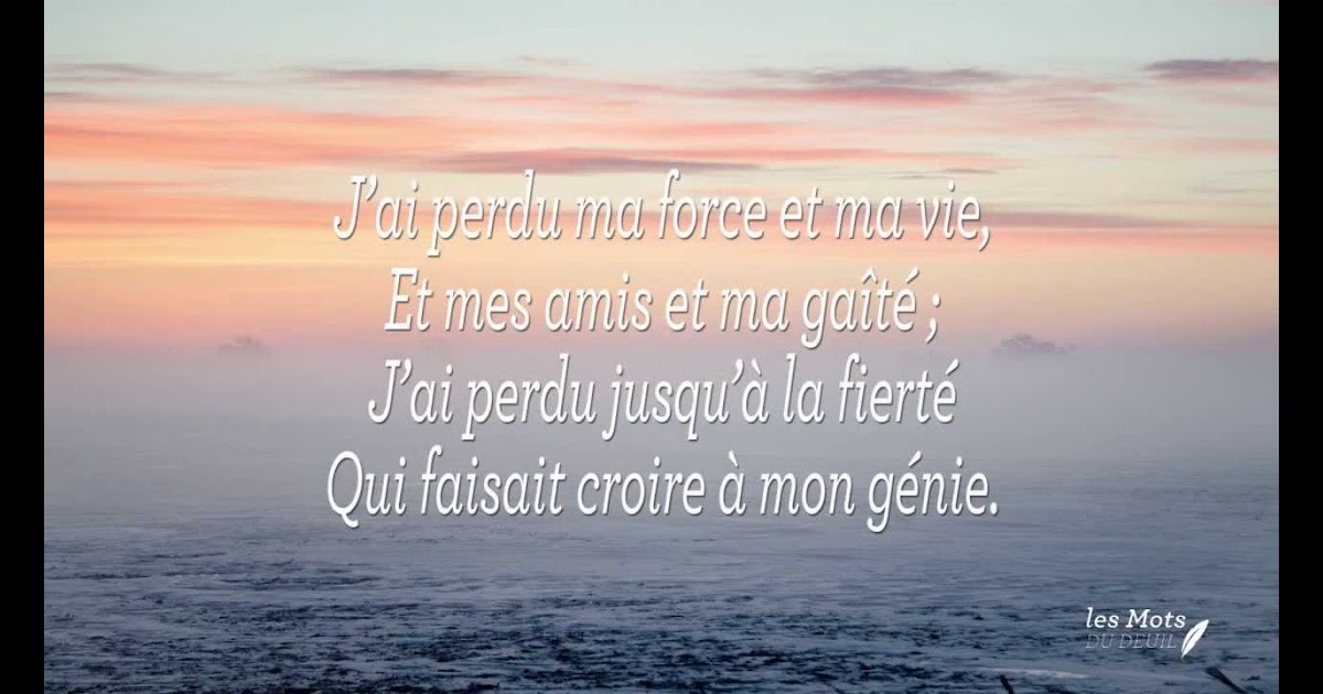 Comment Rendre Hommage A Son Pere Decede Quotes Tn Citations Proverbes Belles Phrases