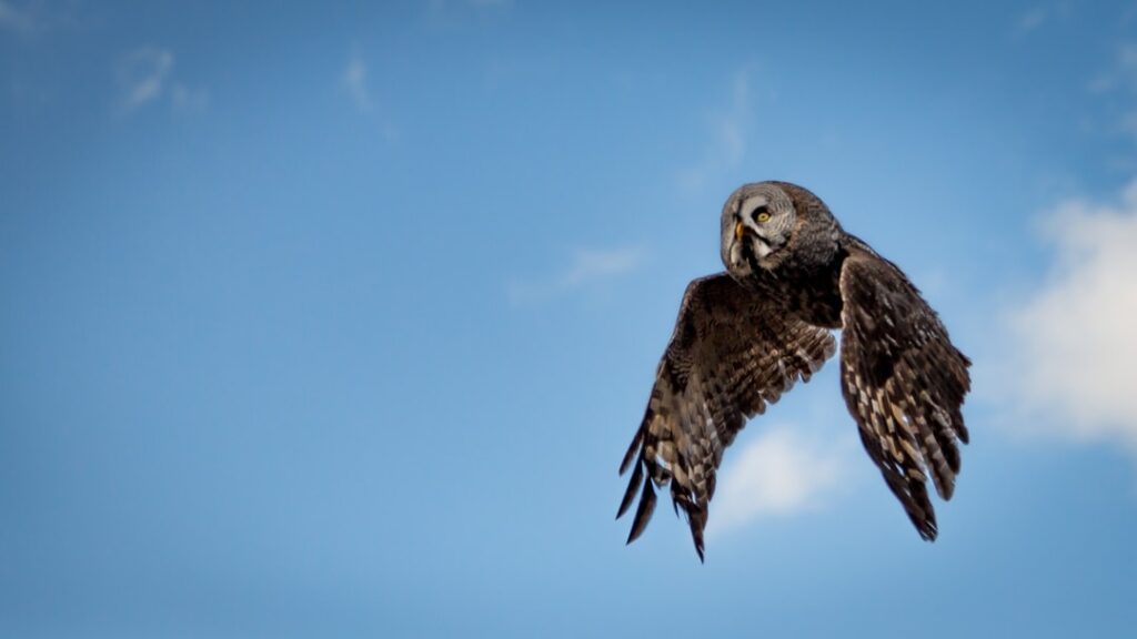 Comment rendre un homme fou de toi à distance ? Comment rendre un homme fou de toi à distance ?