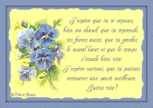 Comment Repondre A Un Message De Bon Retablissement Quotes Tn Citations Proverbes Belles Phrases