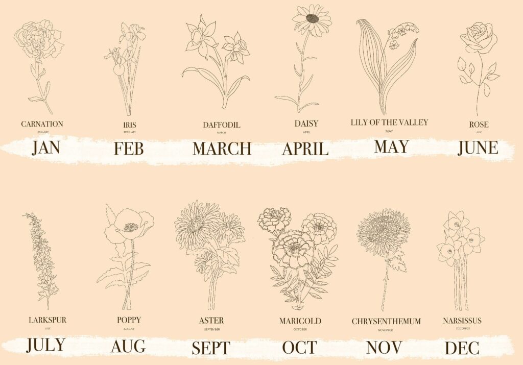 Comment savoir sa fleur de naissance ?