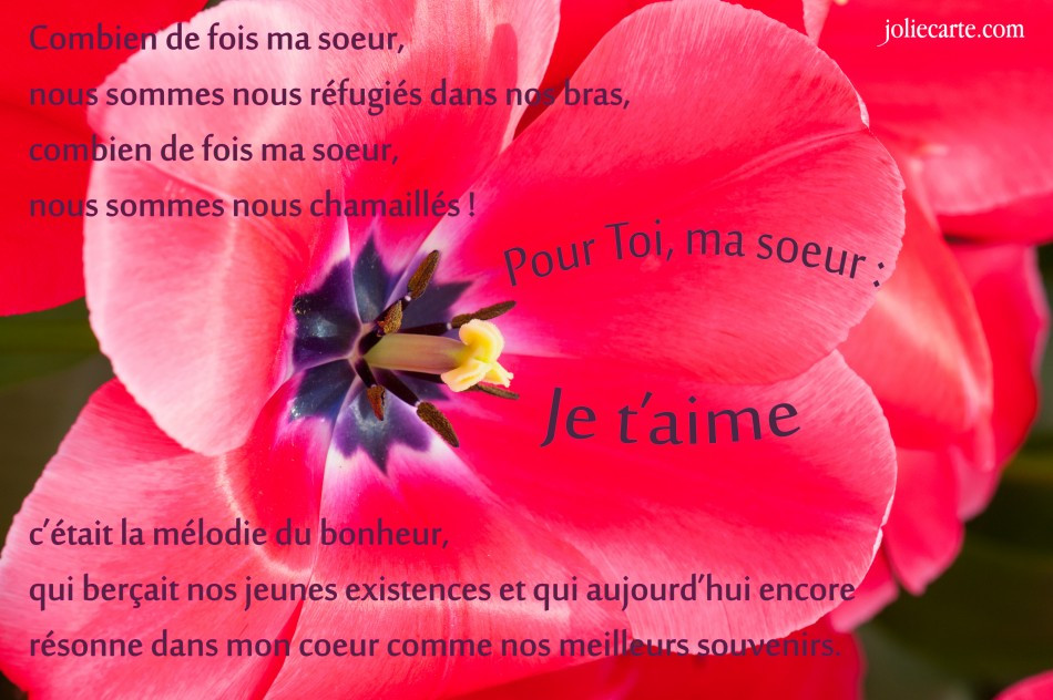 Comment Souhaiter Joyeux Anniversaire A Ma Grande Sœur Quotes Tn Citations Proverbes Belles Phrases