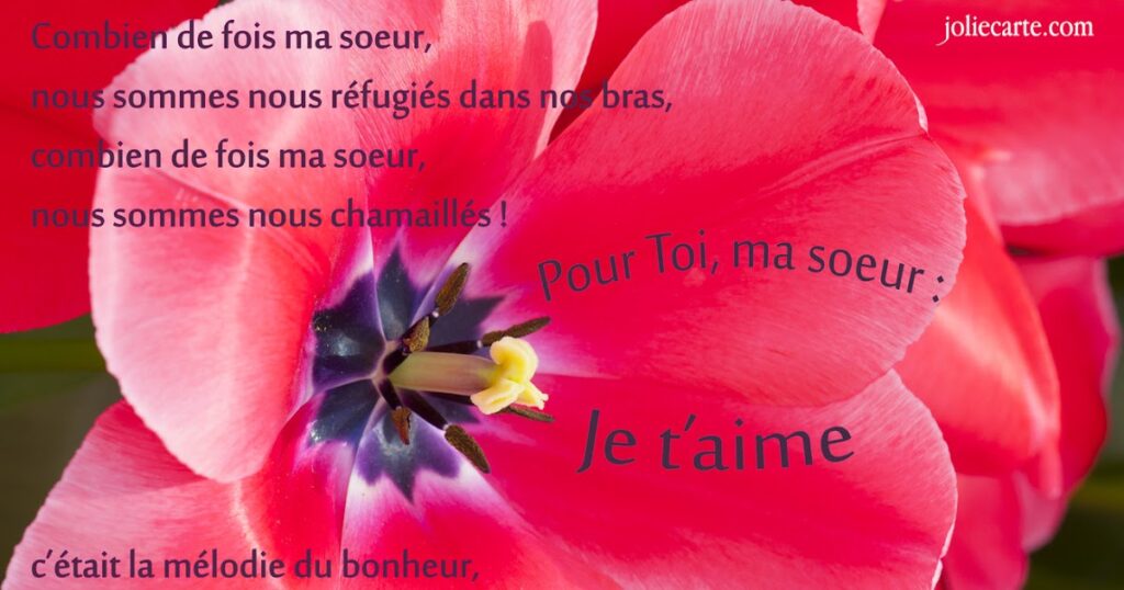 Comment souhaiter joyeux anniversaire à une Belle-sœur ?