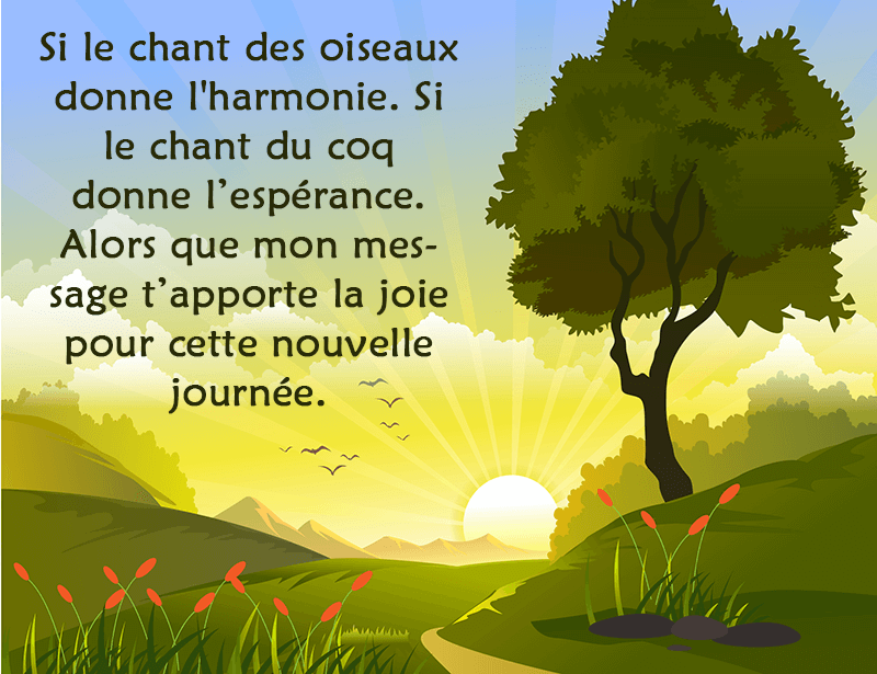 Comment Souhaiter Une Bonne Journee De Facon Originale Quotes Tn Citations Proverbes Belles Phrases