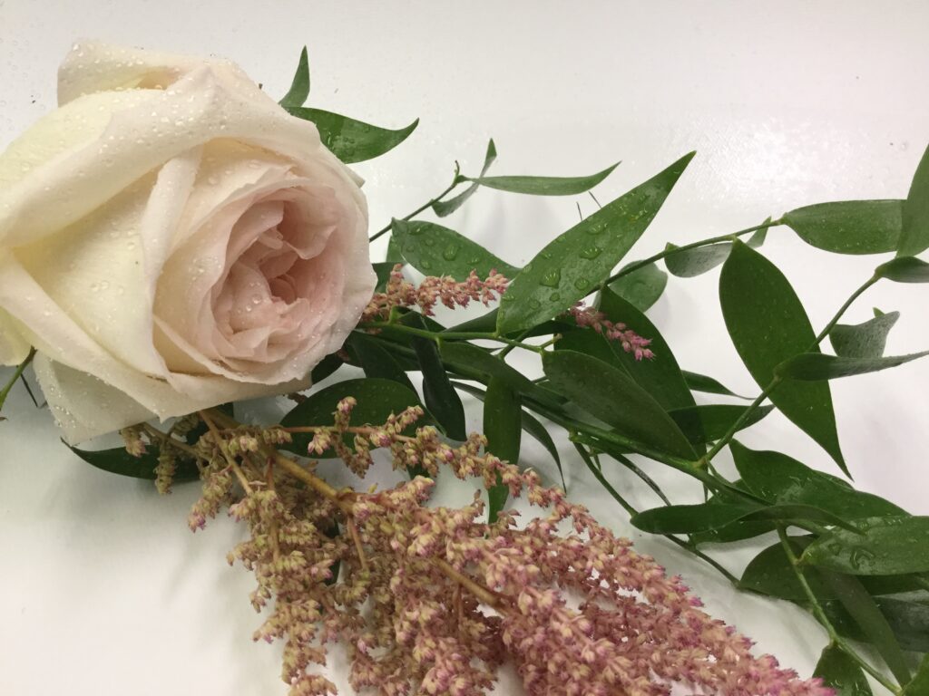 Où trouver des fleurs gratuites ? Où trouver des fleurs gratuites ?