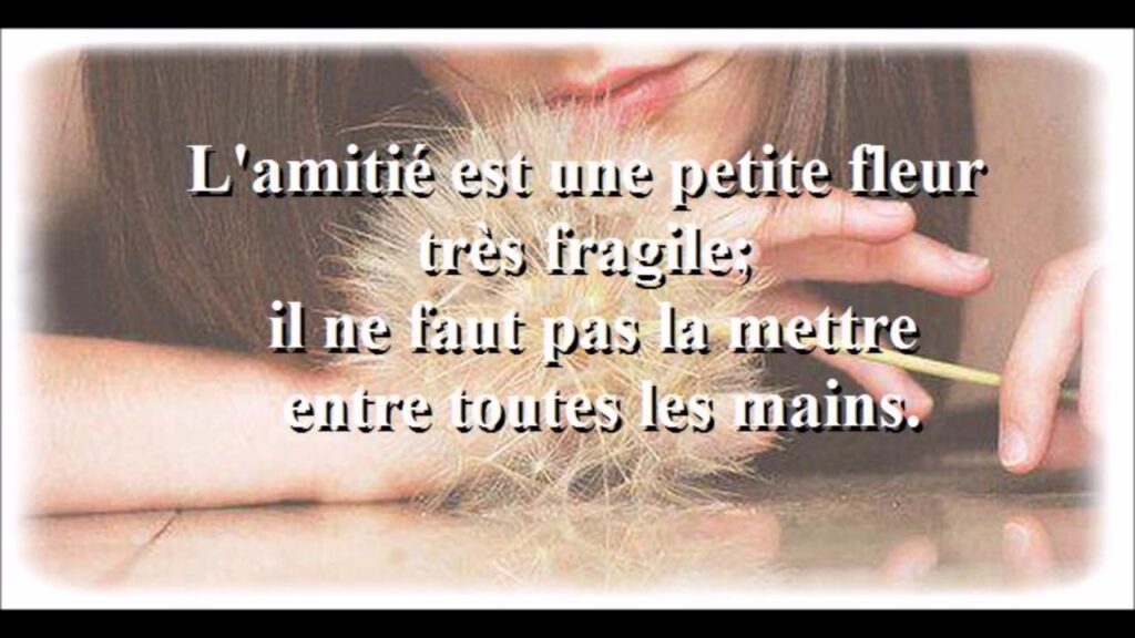 Pourquoi l'amitié fille garçon n'existe pas ?