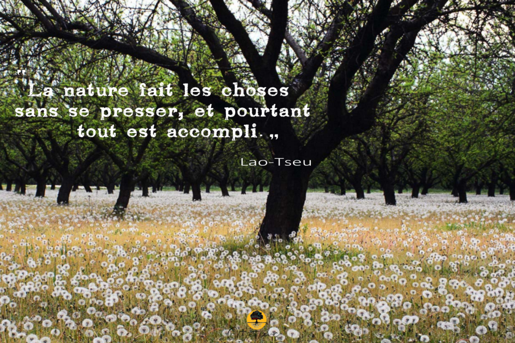 Quand la nature se déchaîne citation ?