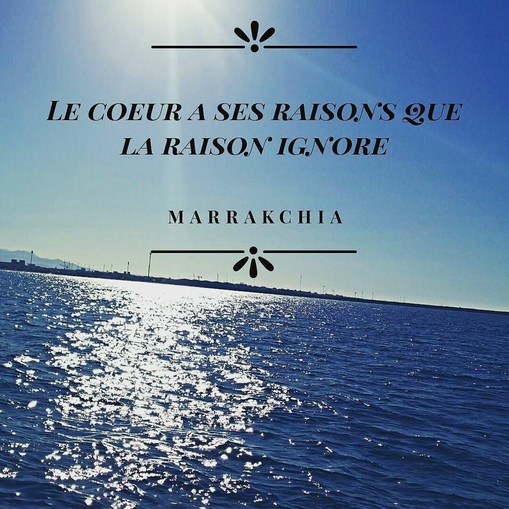 Quand le cœur a ses raisons que la raison ignore signification ?