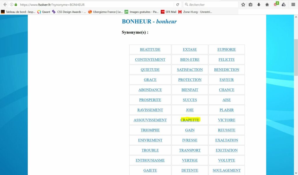 Quel bonheur synonyme ? Quel bonheur synonyme ?