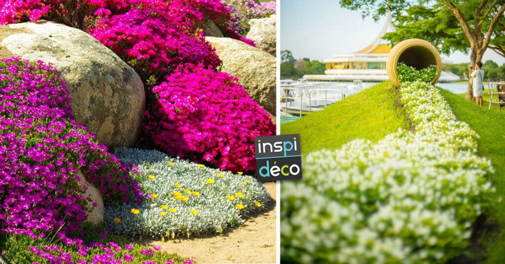 Quel couleur de fleur pour un malade ?