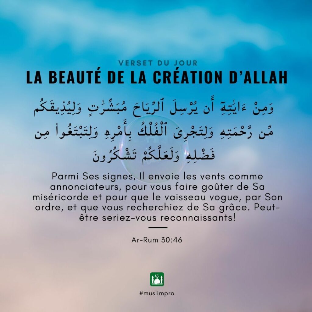 Quel est la citation du jour ?