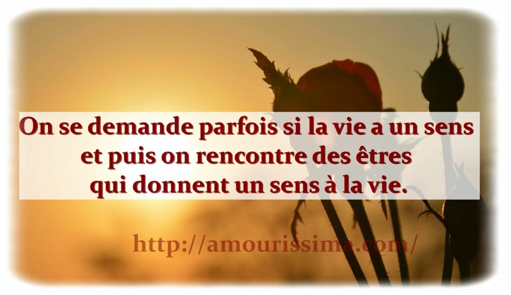 Quel est la plus belle phrase d’amour ? Quel est la plus belle phrase d'amour ?