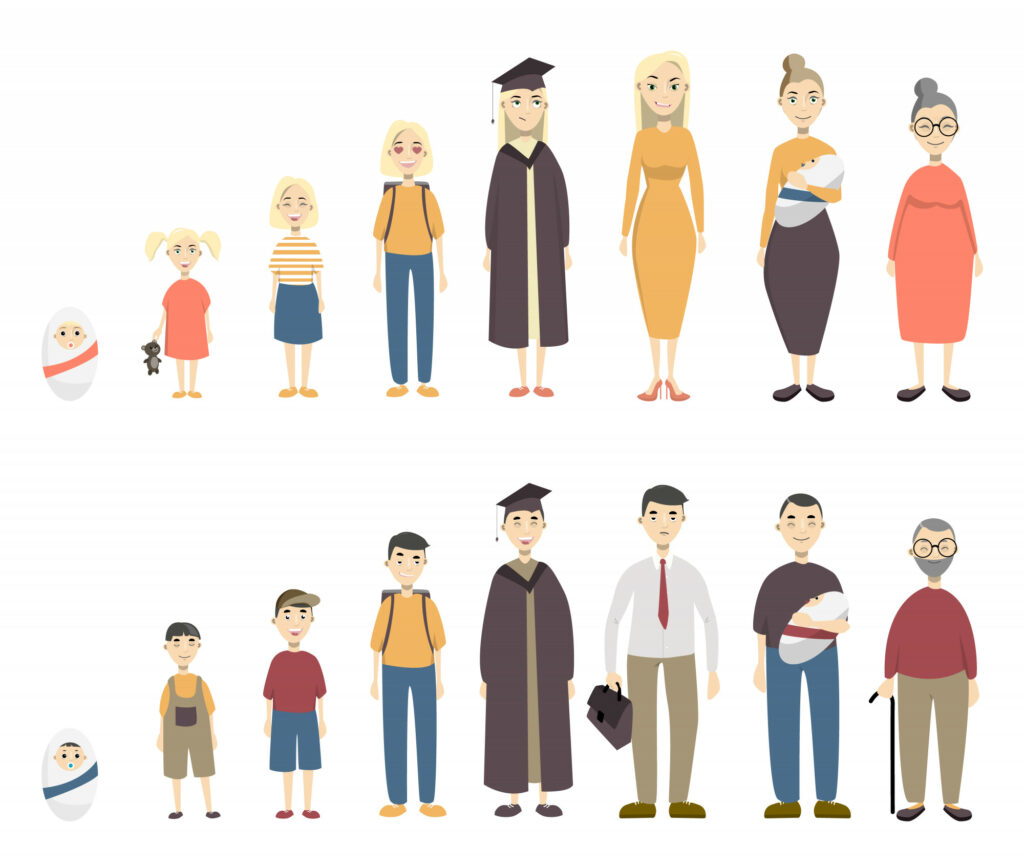 Quel est l'âge adulte ?