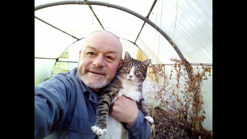 Quel est le féminin de AMI ?