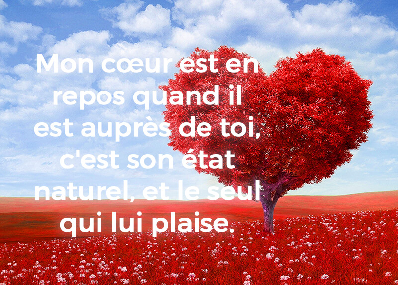 Quel Est Le Mot D Amour Le Plus Touchant Quotes Tn Citations Proverbes Belles Phrases