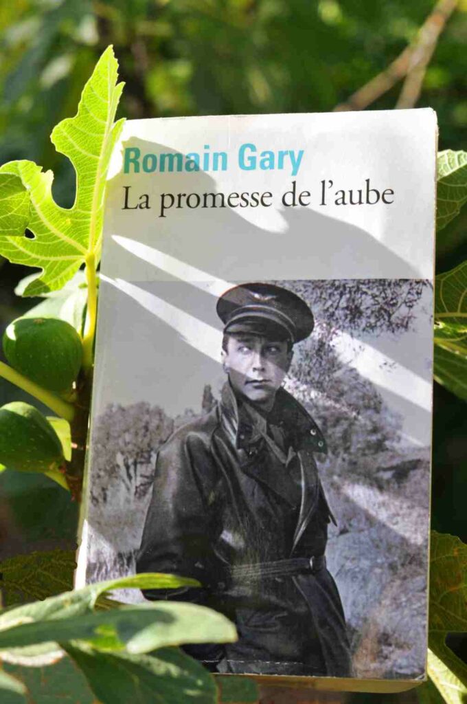 Quel est l’homonyme de l’aube ? Quel est l'homonyme de l'aube ?