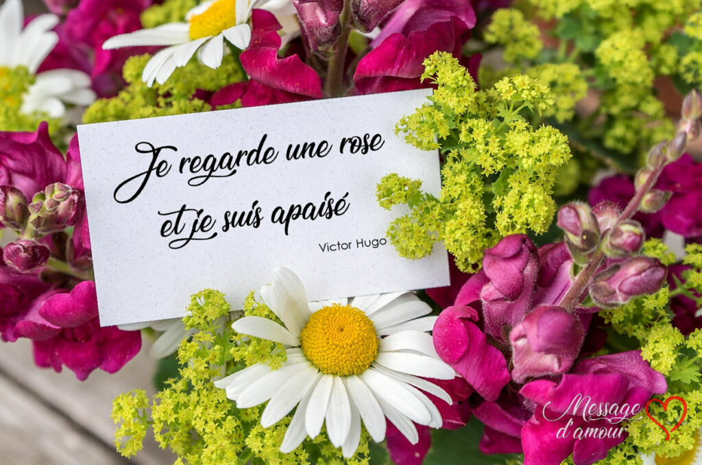 Quel message envoyer avec des fleurs ? Quel message envoyer avec des fleurs ?