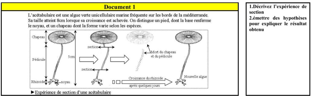 Quelle est cette expression qui signifie être l’un à côté de l’autre ? Quelle est cette expression qui signifie être l'un à côté de l'autre ?