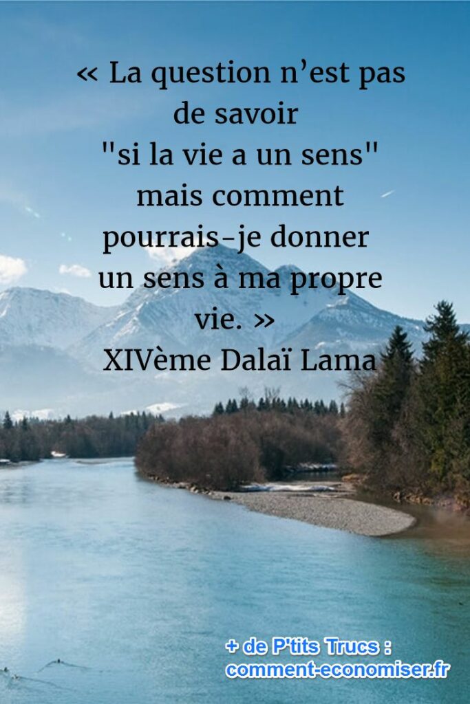 Quelle est la citation de la vie ?