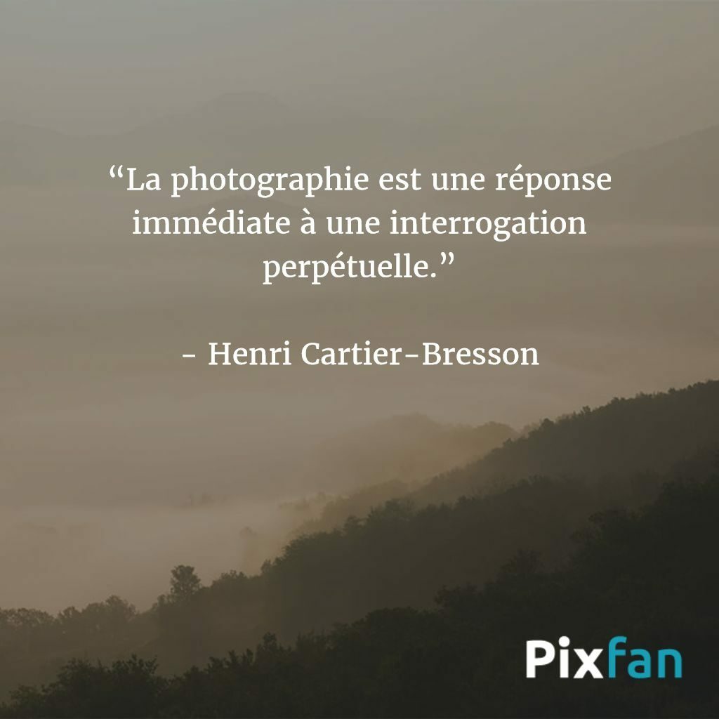 Quelle est la plus belle citation ?