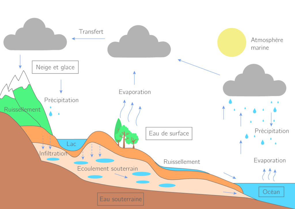Quelle est l’importance de l’environnement dans notre vie ? Quelle est l'importance de l'environnement dans notre vie ?
