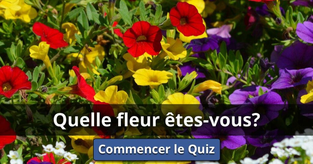 Quelle fleur correspond à mon prénom ? Quelle fleur correspond à mon prénom ?