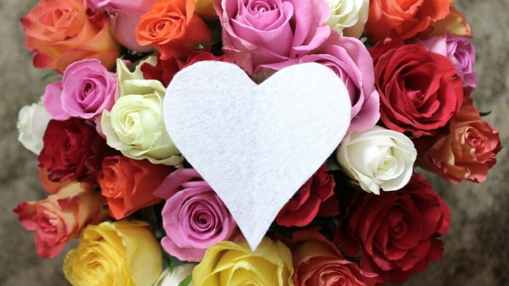 Quelle fleur représente la féminité ?