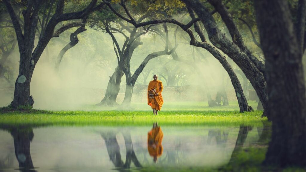 Quelle parole de sagesse ?