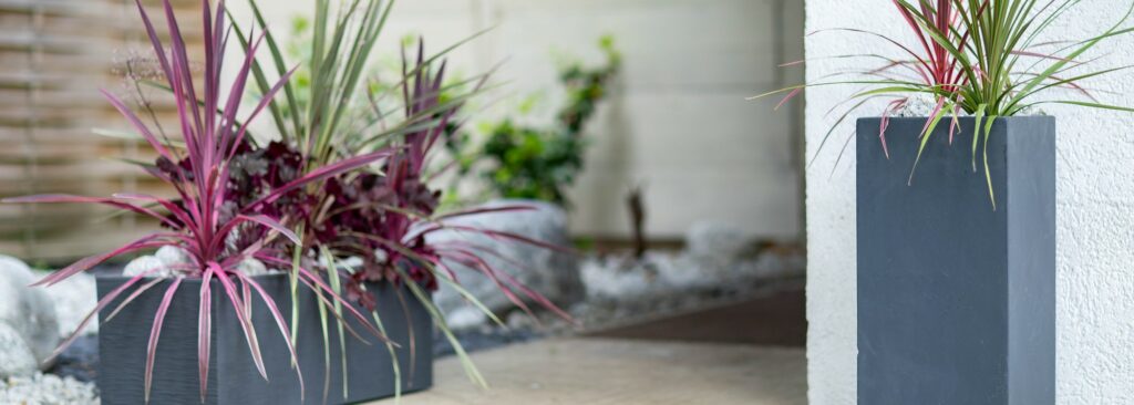 Quelles fleurs pour l’intérieur ? Quelles fleurs pour l'intérieur ?